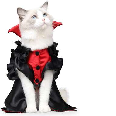 black and white cat costume